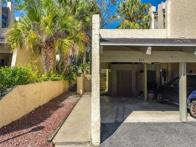 217 TOMOKA TRAIL 217, Longwood, FL 32779