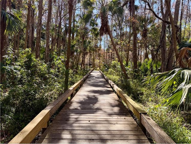 217 TOMOKA TRAIL 217, Longwood, FL 32779