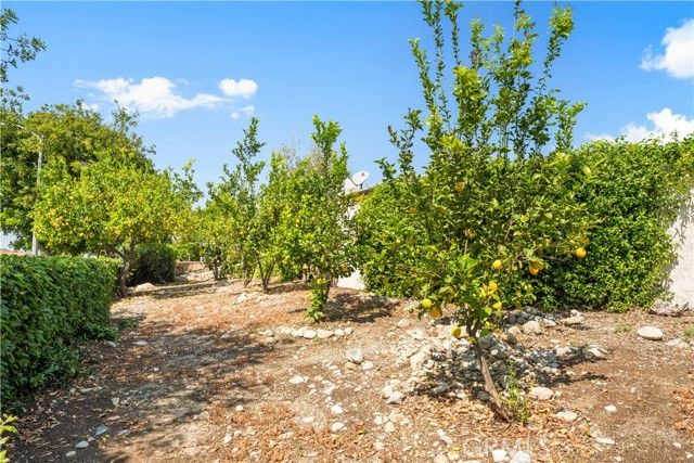 1400 Blossom, Upland, CA 91786