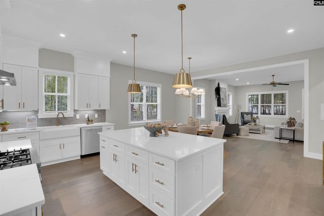 1040 Refuge Place, Chapin, SC 29036