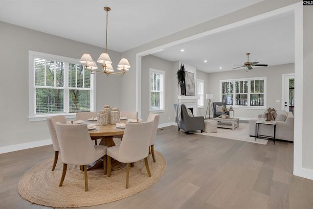 1040 Refuge Place, Chapin, SC 29036