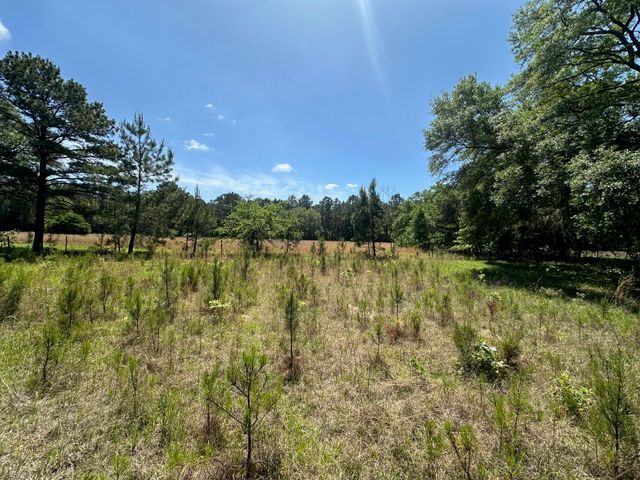 0 Willtown Road, Hollywood, SC 29449