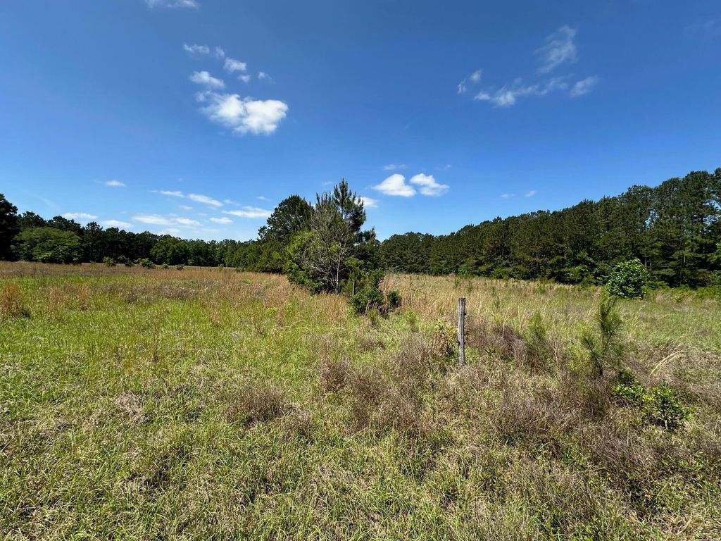 0 Willtown Road, Hollywood, SC 29449