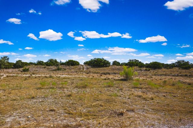 169 STAR VIEW CV, Blanco, TX 78606