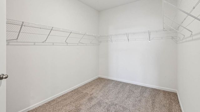 1228 Wild Tulip Circle, Bartlett, IL 60103