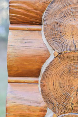 125 Nicholson Road, Trenton, SC 29847