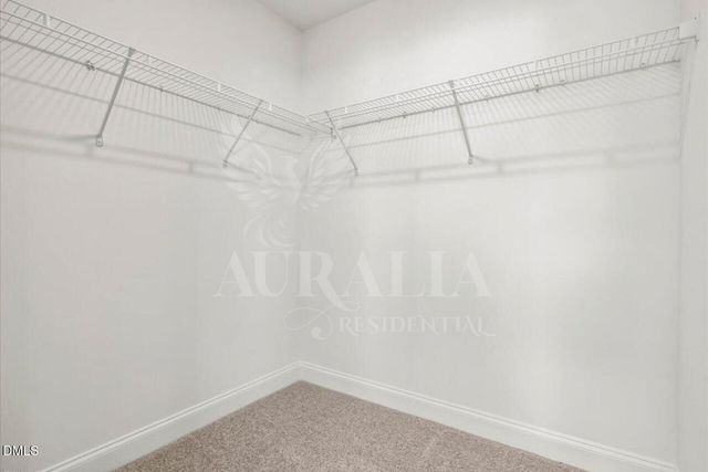 53 Lavender Lane, Clayton, NC 27520