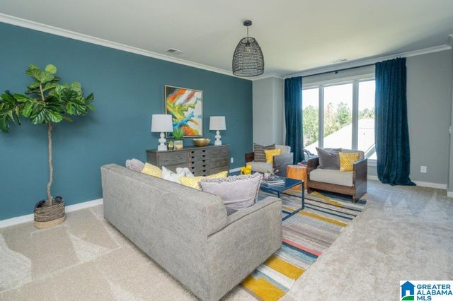 6031 OLIVEWOOD DRIVE, Hoover, AL 35244