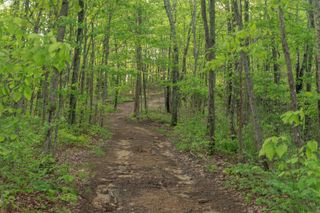 0 Middle Ridge Road, Beersheba Springs, TN 37305