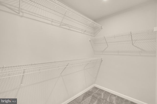 3556 STELLA BLUE DR, Hyattsville, MD 20782