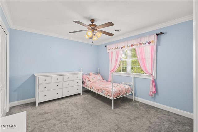 307 Fairridge Road, Johnson City, TN 37604
