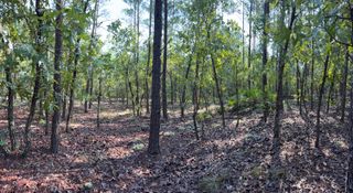 XX J W Hollington Road, Freeport, FL 32439