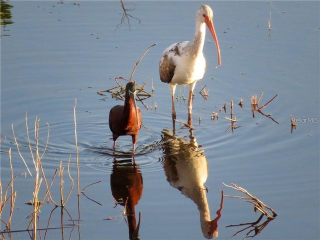 6315 SHORELINE DRIVE 3307, Seminole, FL 33708