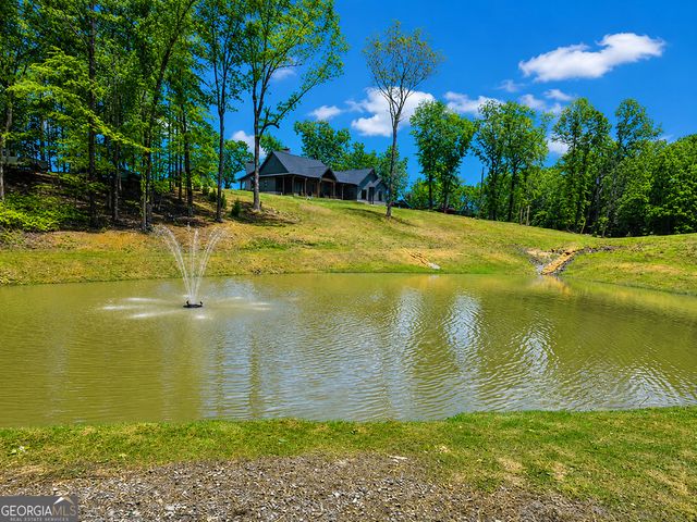 1272 Foxhound Trail NE, Ranger, GA 30734