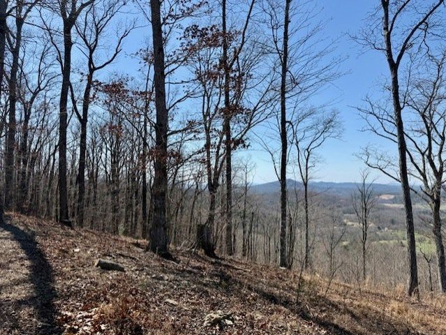 Lot 24 Grand Laurel, Brasstown, NC 28902