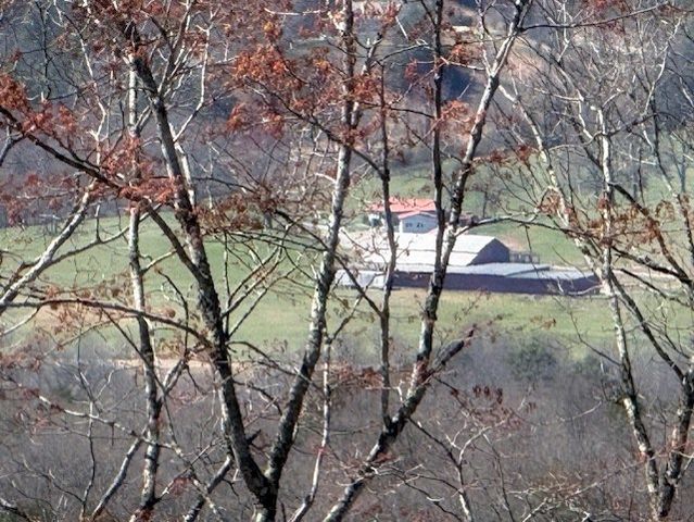 Lot 24 Grand Laurel, Brasstown, NC 28902