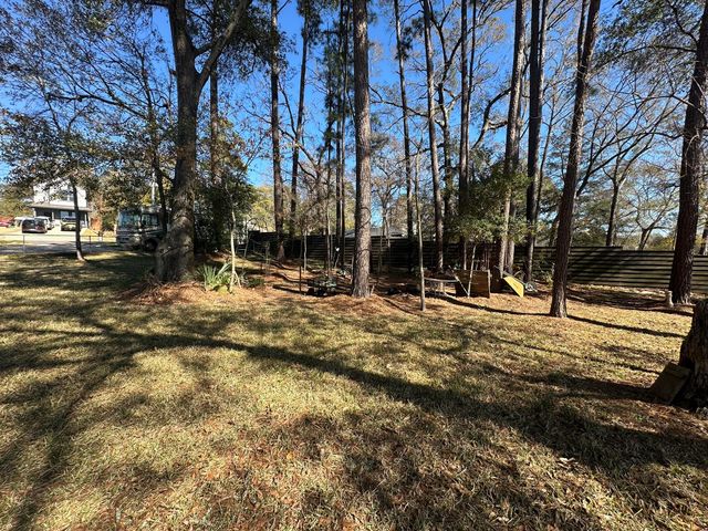 512 Navajo Street, Montgomery, TX 77316