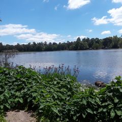 512 Navajo Street, Montgomery, TX 77316