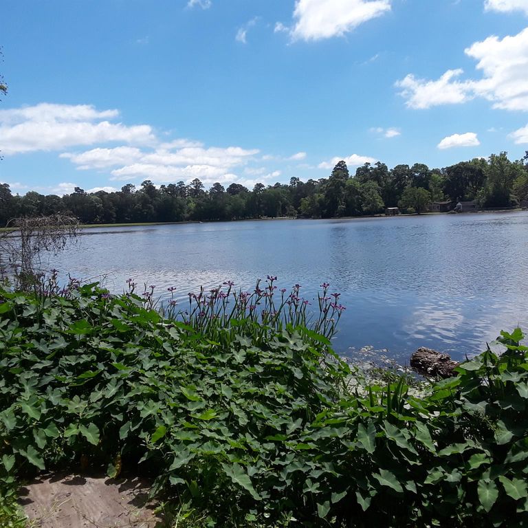 512 Navajo Street, Montgomery, TX 77316