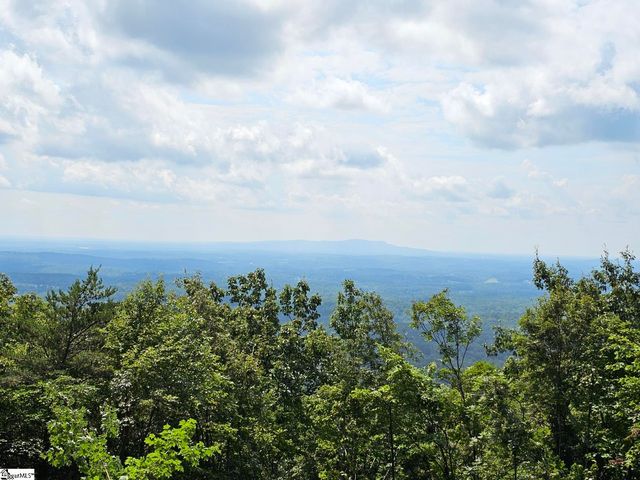 101 Southview Ledge Road, Landrum, SC 29356