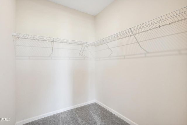 135 Oyster Tabby Drive, Lillington, NC 27546