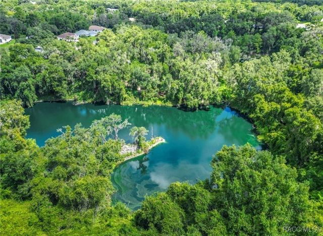 3153 N Chandler Drive, Hernando, FL 34442