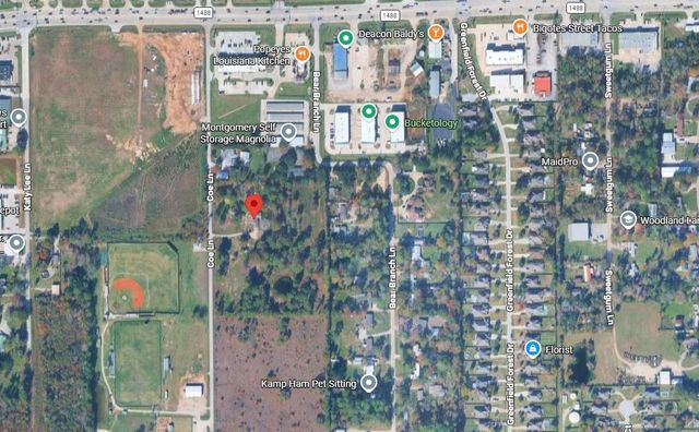 33222 Coe Lane, Magnolia, TX 77354