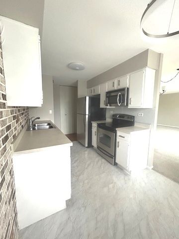 111 S Baybrook Drive 404, Palatine, IL 60074