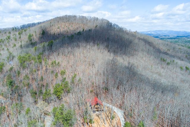 494 Lower Prince Mountain Road, Blue Ridge, GA 30522