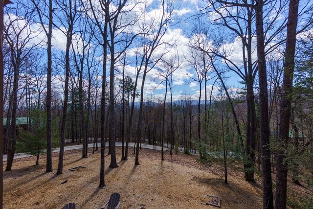 494 Lower Prince Mountain Road, Blue Ridge, GA 30522