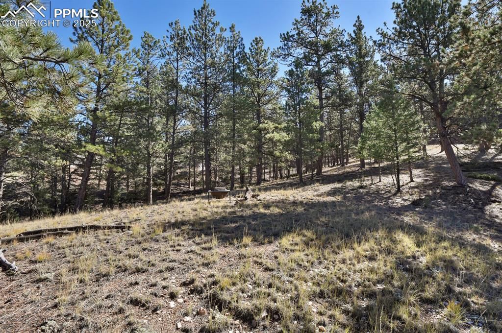 504 Bear Mountain Road, Florissant, CO 80816