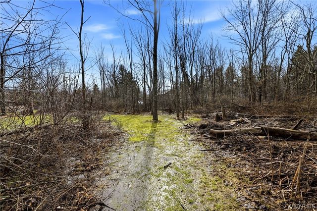 6373 Center Street, Hamburg, NY 14085