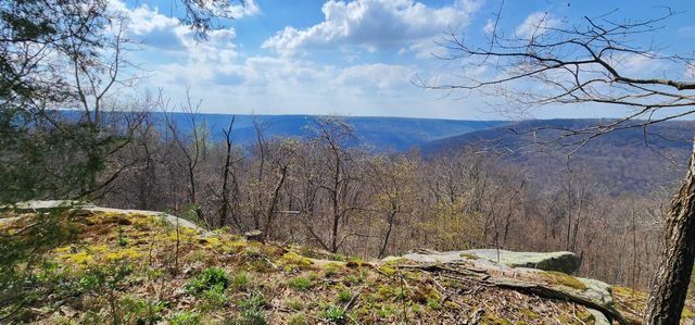 0 Roth Point Road 5, Altamont, TN 37301