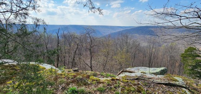 0 Roth Point Road 5, Altamont, TN 37301
