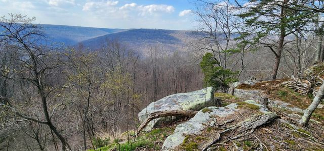 0 Roth Point Road 5, Altamont, TN 37301