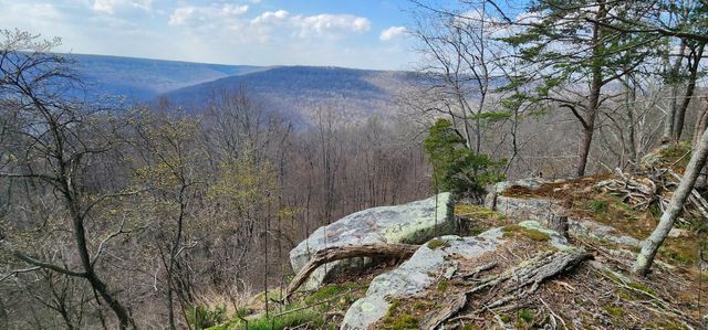0 Roth Point Road 5, Altamont, TN 37301