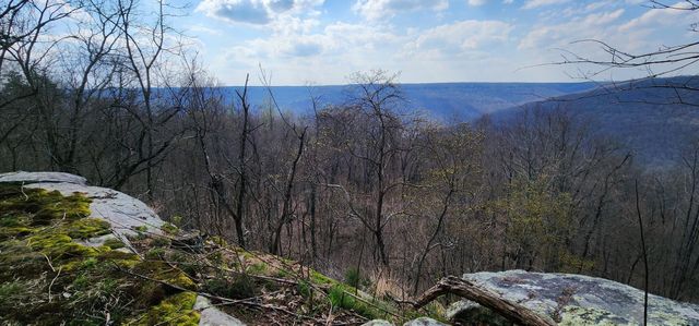 0 Roth Point Road 5, Altamont, TN 37301