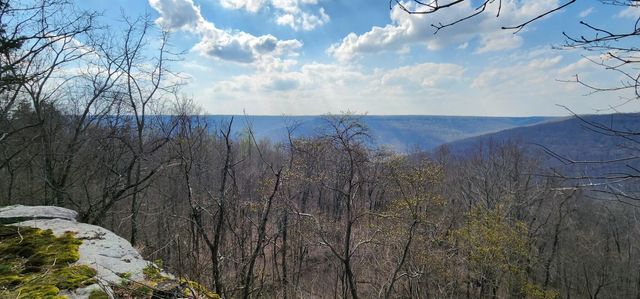 0 Roth Point Road 5, Altamont, TN 37301