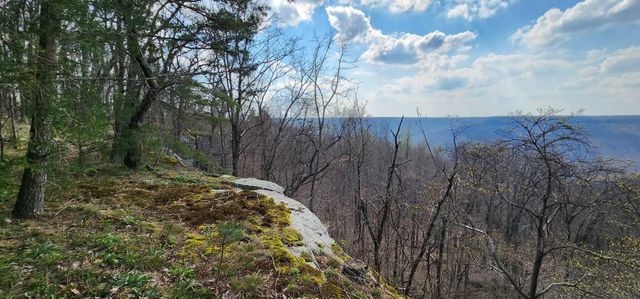 0 Roth Point Road 5, Altamont, TN 37301
