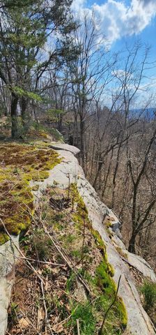 0 Roth Point Road 5, Altamont, TN 37301