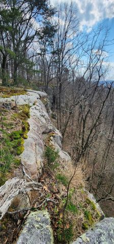 0 Roth Point Road 5, Altamont, TN 37301