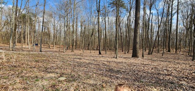 0 Roth Point Road 5, Altamont, TN 37301