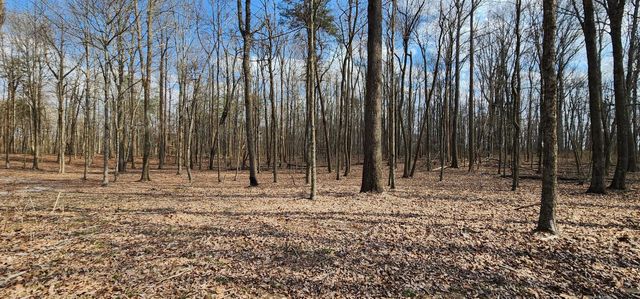 0 Roth Point Road 5, Altamont, TN 37301