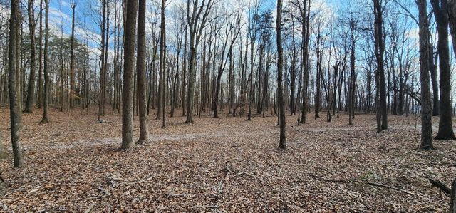 0 Roth Point Road 5, Altamont, TN 37301