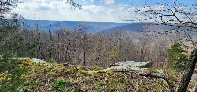0 Roth Point Road 5, Altamont, TN 37301