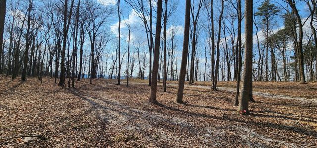 0 Roth Point Road 5, Altamont, TN 37301
