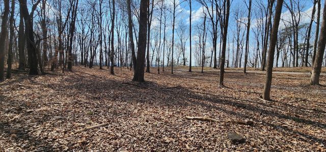 0 Roth Point Road 5, Altamont, TN 37301