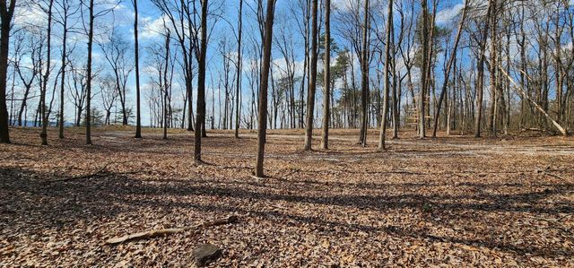 0 Roth Point Road 5, Altamont, TN 37301