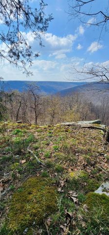 0 Roth Point Road 5, Altamont, TN 37301