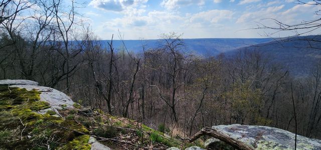 0 Roth Point Road 5, Altamont, TN 37301